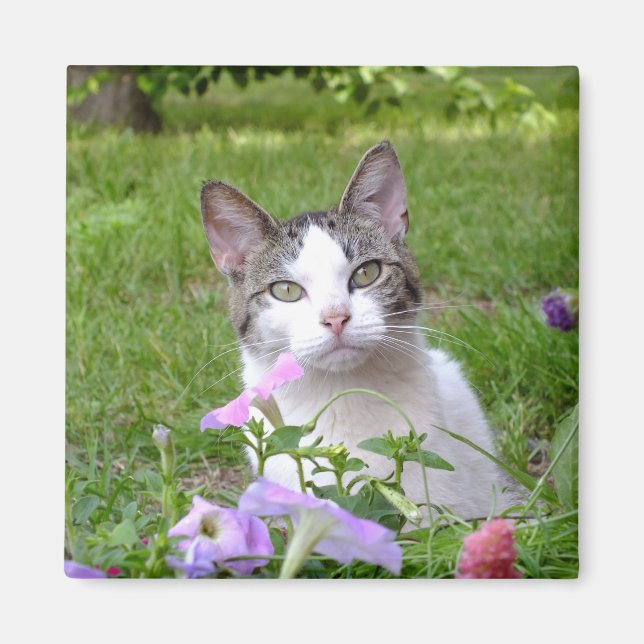 Kitty in the Flowers Magnet (Front)