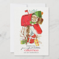 Kitty In The Mailbox