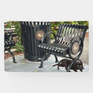 Kitty in The Park Banner