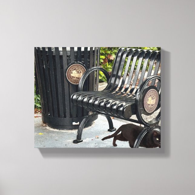 Kitty in The Park Canvas Print (Front)