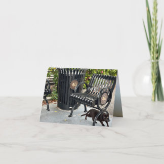 Kitty in The Park Card