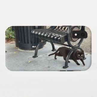 Kitty in The Park iPhone XR Case