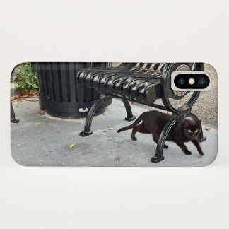 Kitty in The Park iPhone X Case