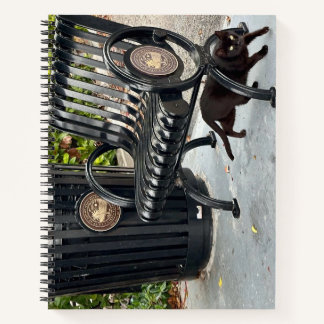 Kitty in The Park Notebook