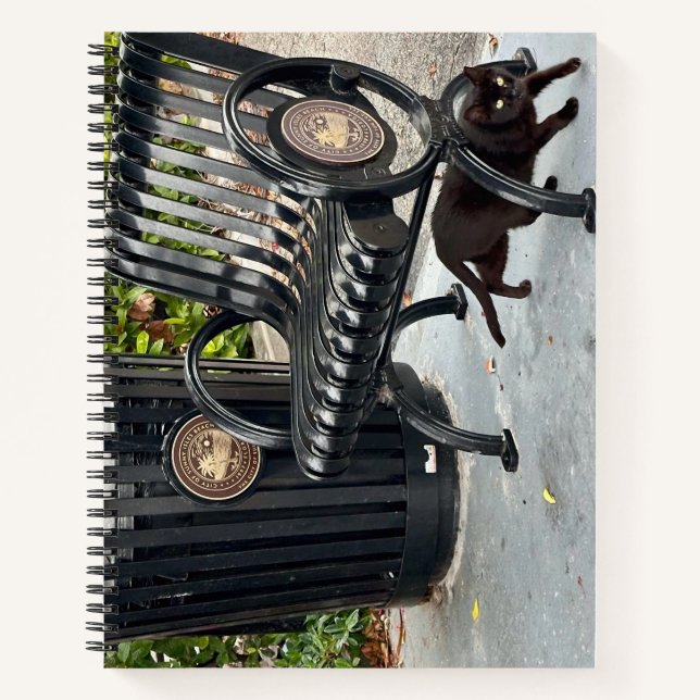 Kitty in The Park Notebook (Front)