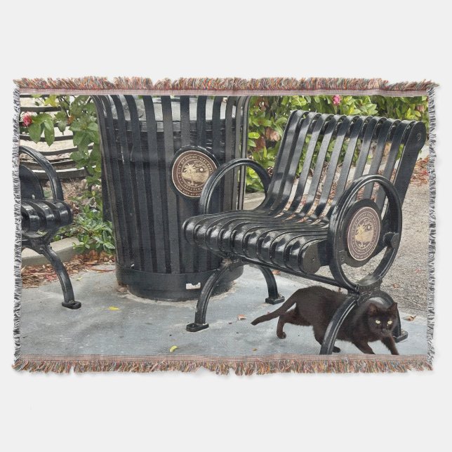 Kitty in The Park Throw Blanket (Front)