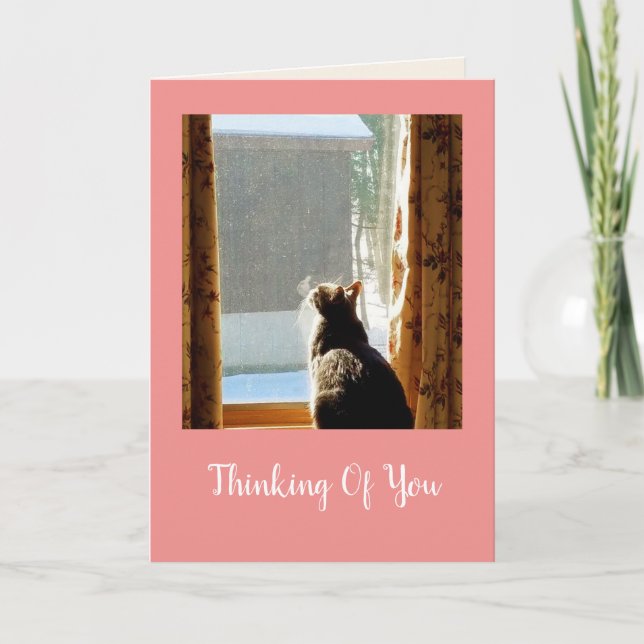 Kitty In The Window Get Well Card (Front)