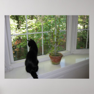 Kitty in the Window Poster