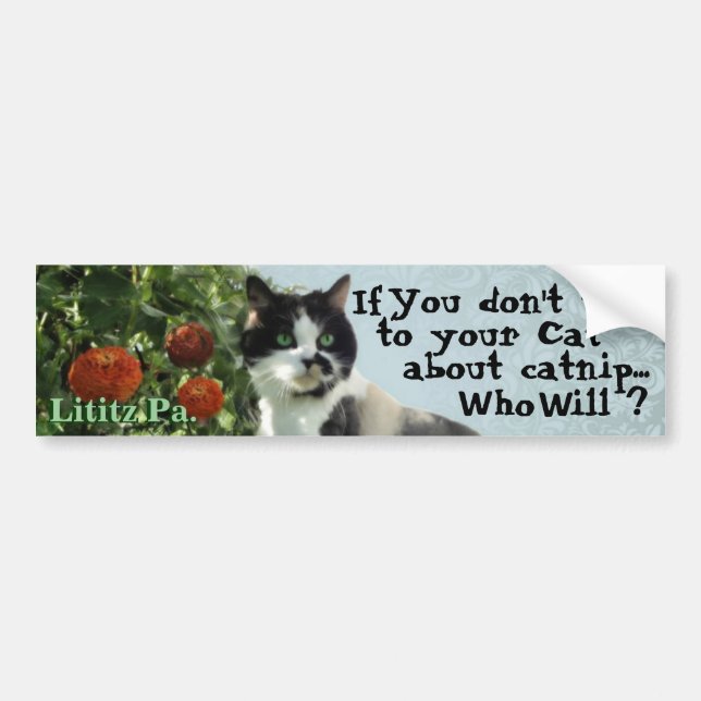 Kitty Inspirations Bumper Sticker (Front)