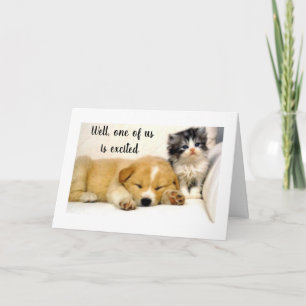 **KITTY** IS EXCITED THAT IT IS YOUR *40 BIRTHDAY* CARD