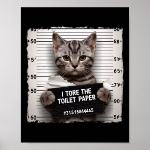 Kitty Jail Photo I Shredded The Toilet Paper Bad C Poster