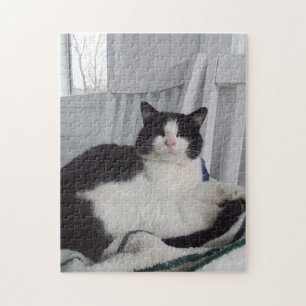 Kitty Jigsaw Puzzle