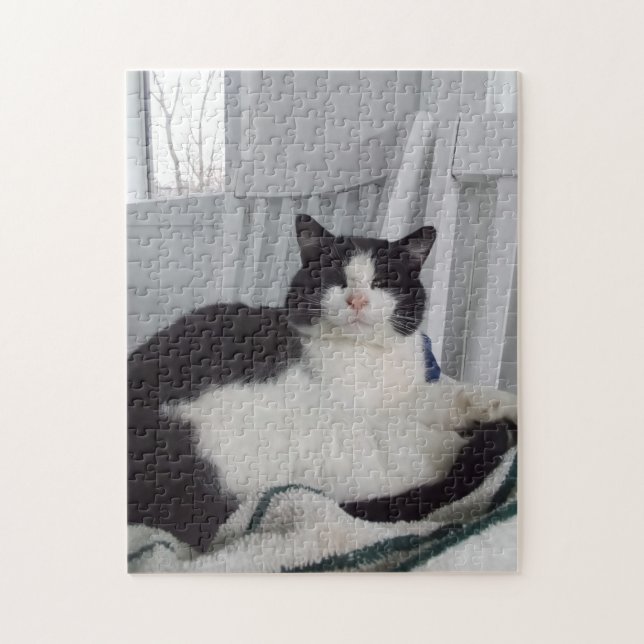 Kitty Jigsaw Puzzle (Vertical)