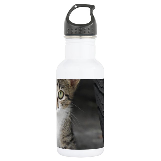 Kitty.JPG 532 Ml Water Bottle (Front)