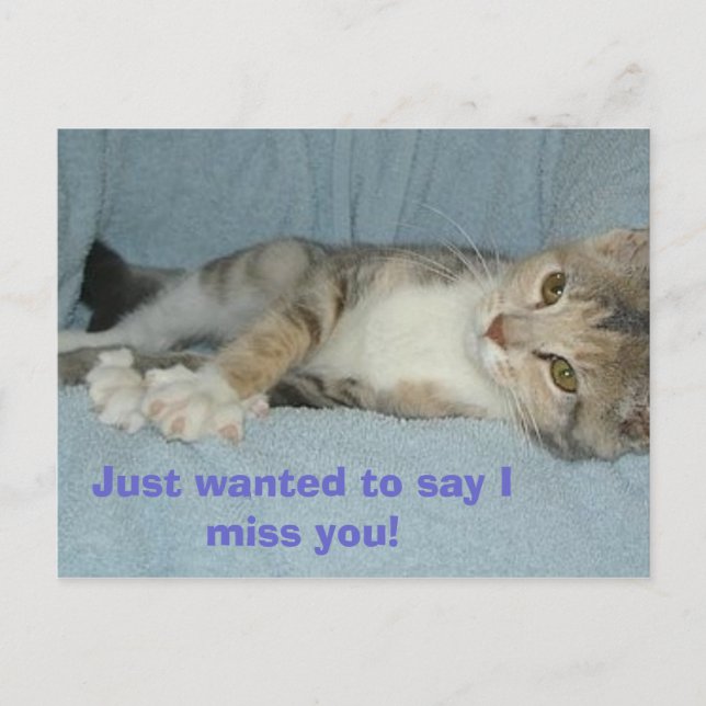 kitty, Just wanted to say I miss you! Postcard (Front)