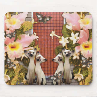 kitty kats love flowers mouse mat