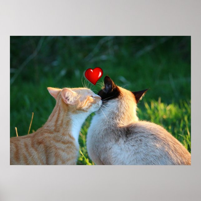 kitty kiss poster (Front)