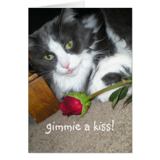 Kitty Kisses Romantic Card