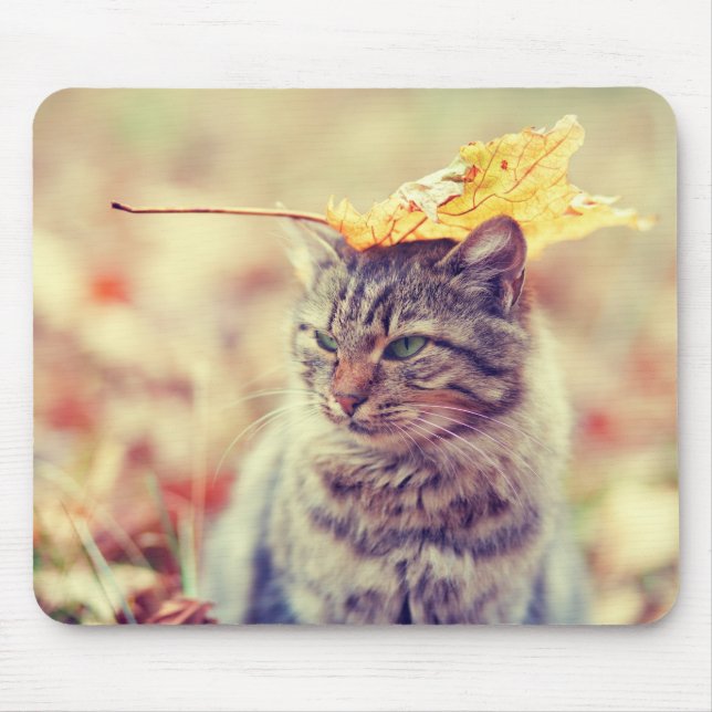 Kitty Leaf Balancing Act Mouse Mat (Front)