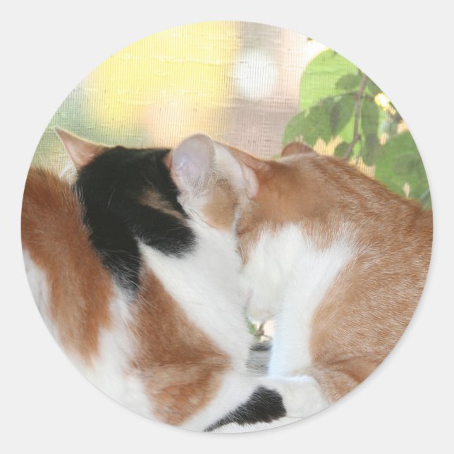 Kitty love sticker (Front)