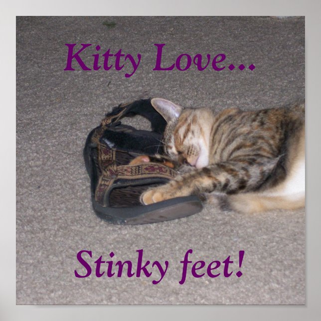 Kitty Love..., Stinky feet! Poster (Front)