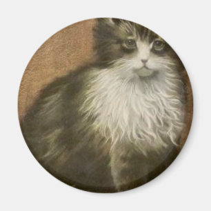 Kitty Magnet