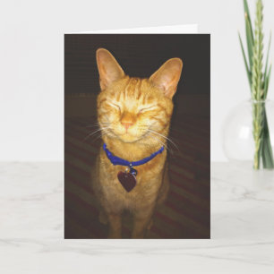 Kitty Make a Wish Birthday Card