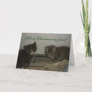KITTY, MERRY CHRISTMAS MY FRIEND card