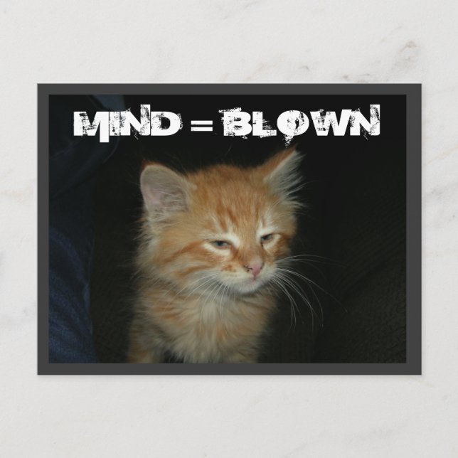 Kitty "MIND = BLOWN" Postcard (Front)