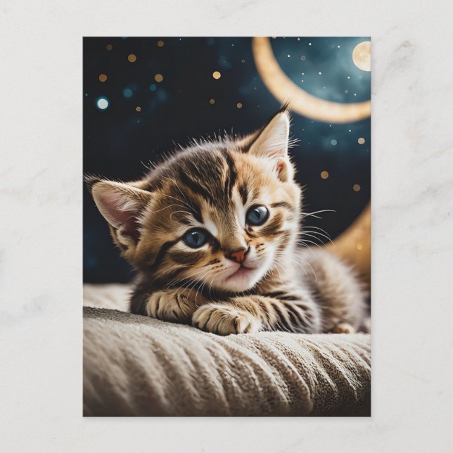 Kitty Moonlight Postcard (Front)