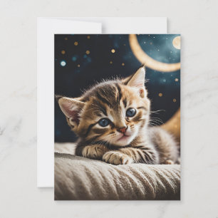 Kitty Moonlight Postcard