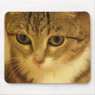 kitty mouse mat