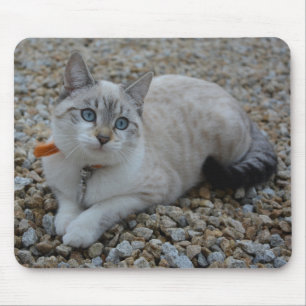 Kitty Mouse Mat