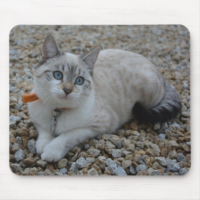 Kitty Mouse Mat (Front)