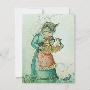 Kitty Mummy Postcard