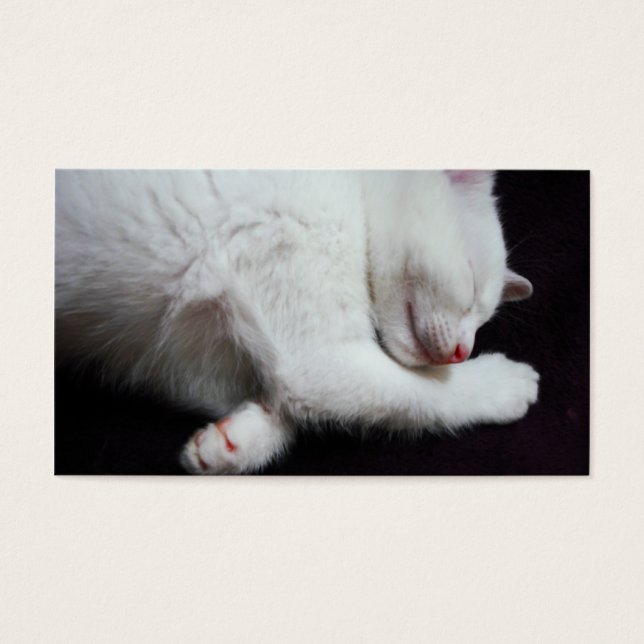 KITTY NAP (Front)
