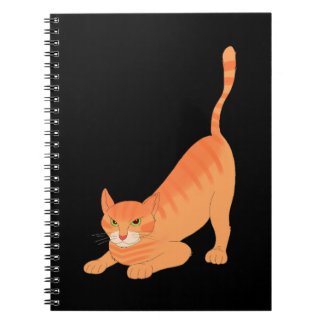 Kitty Notebook