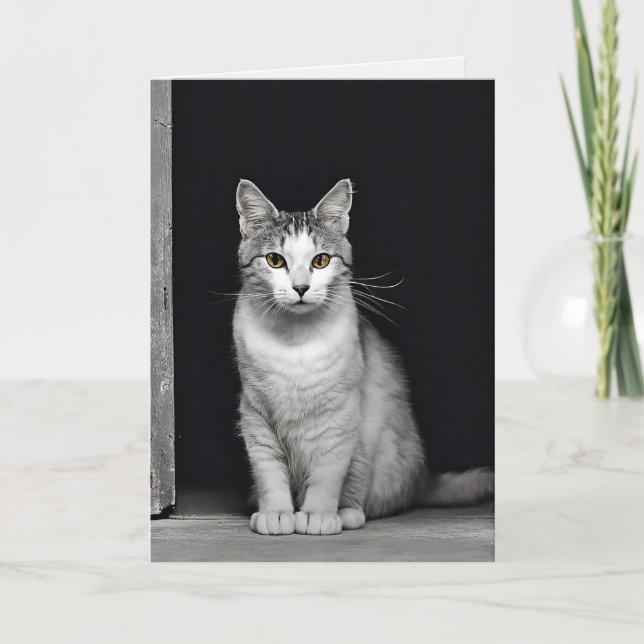 Kitty Pet Loss Sympathy Card (Front)