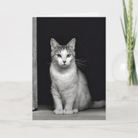 Kitty Pet Loss Sympathy