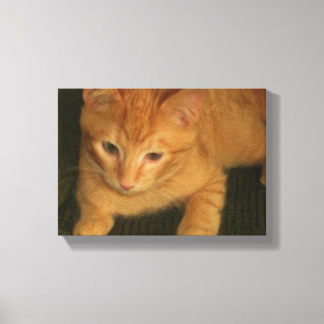 Kitty Photo on Canvas Print (Front)