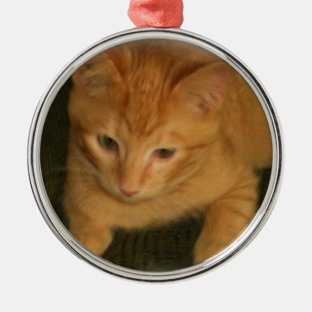 Kitty Photograph Ornament (Front)