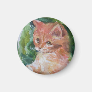Kitty Pillow 2m Magnet