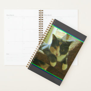 Kitty Planner