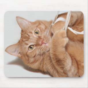 Kitty plays mouse mat