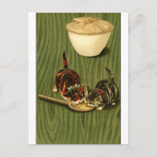 Kitty Postcard
