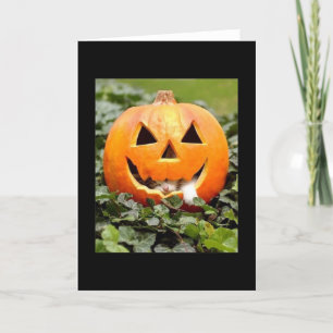 kitty pumpkin card