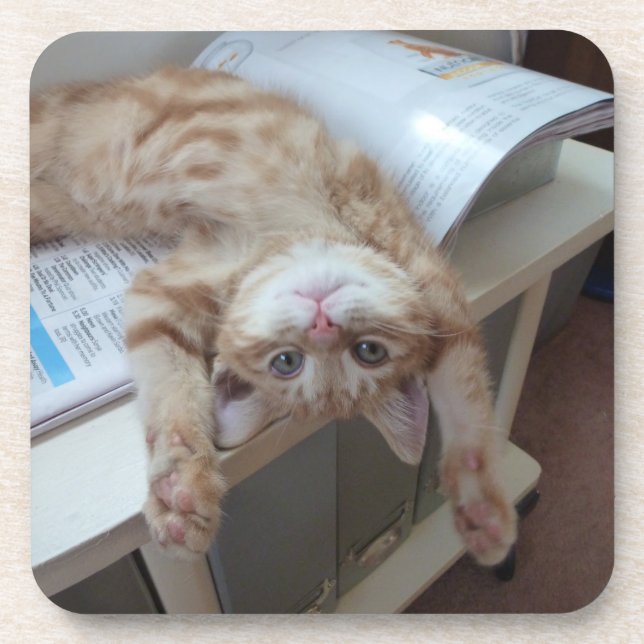 Kitty Relaxing Coaster (Front)