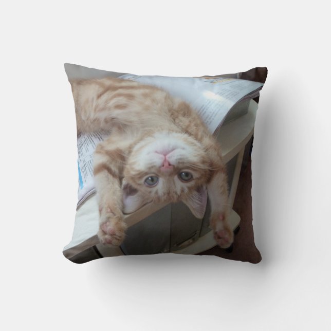 Kitty Relaxing Cushion (Front)