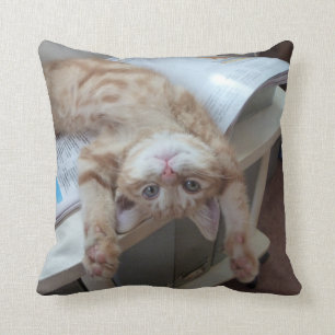 Kitty Relaxing Cushion