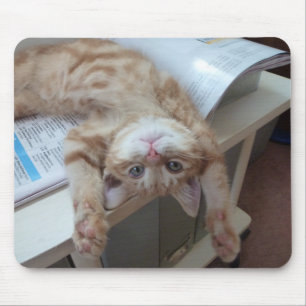 Kitty Relaxing Mouse Mat
